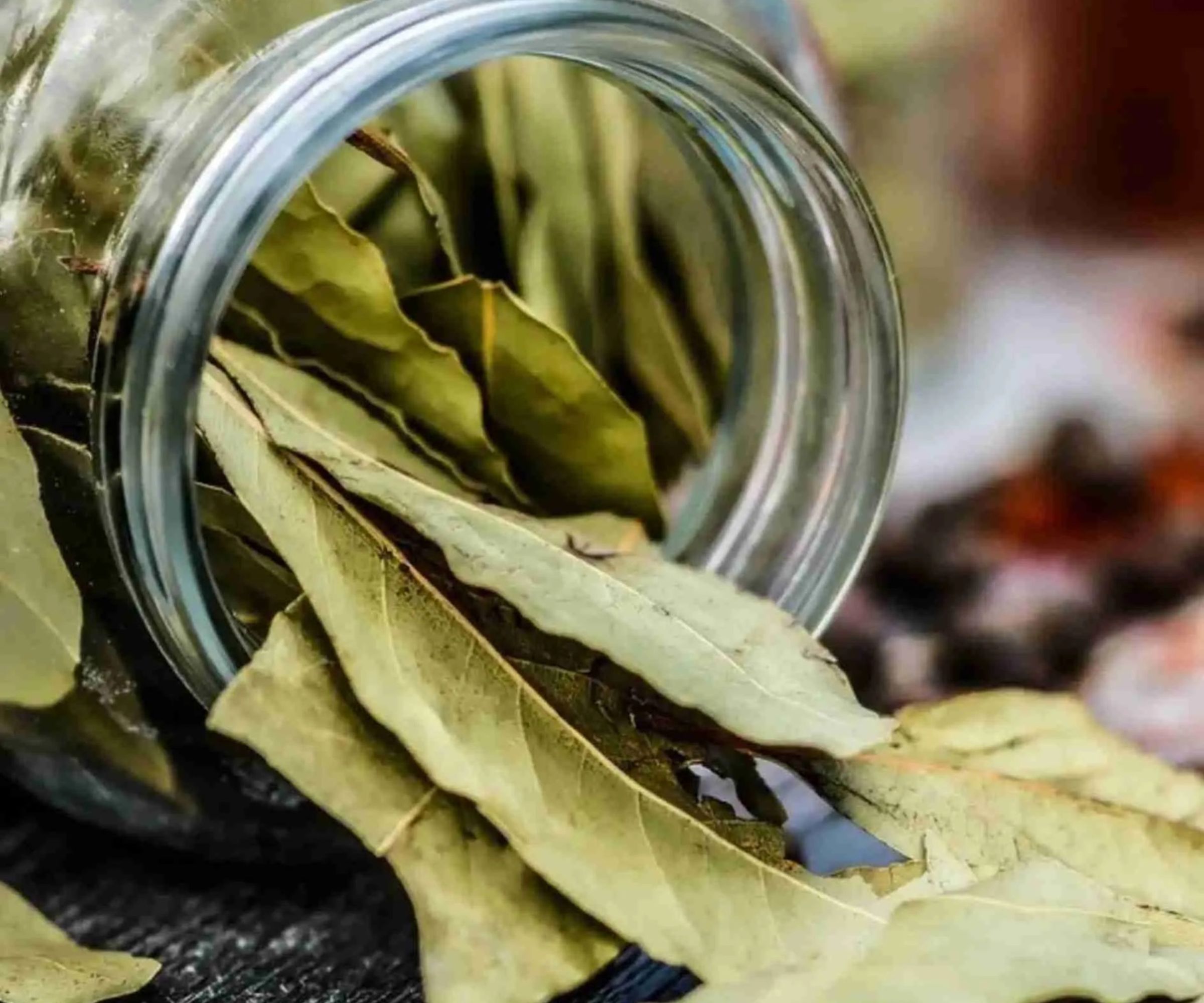 Lorbeerblätter zu Hause verbrennen