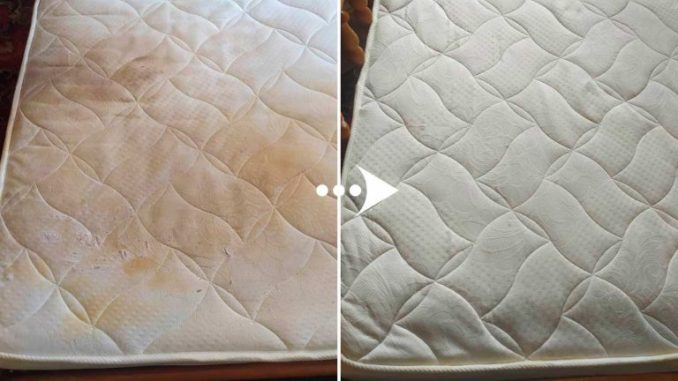 Matratzenflecken, wie man sie ohne Bikarbonat entfernt: Es dauert einen Moment