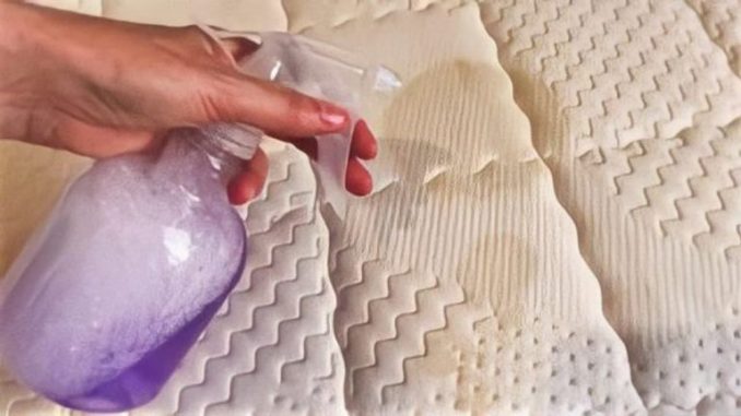 Mit diesen 2 Zutaten ist die Matratze wieder wie neu: Alle Hausfrauen machen das