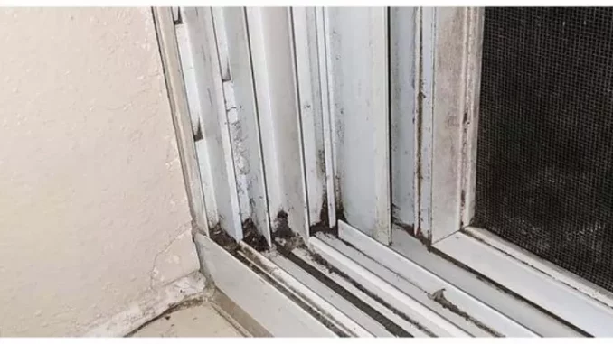 Mit einfachen Tricks und natürlichen Produkten Fensterrahmen im Handumdrehen reinigen