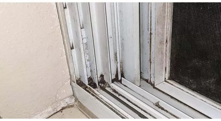 Mit einfachen Tricks und natürlichen Produkten Fensterrahmen im Handumdrehen reinigen