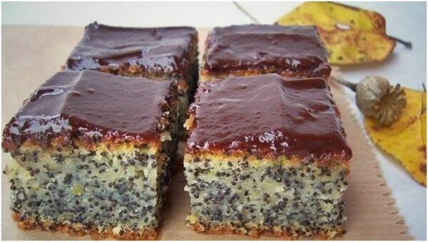 Mohnkuchen mit 10 Minuten Zubereitungszeit