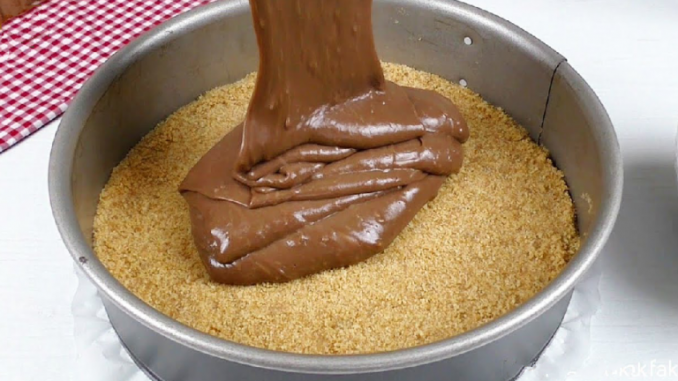NUTELLA KÄSEKUCHEN OHNE BACKEN, IN 15 MINUTEN FERTIG !