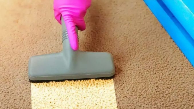 Ohne Wasser oder Reinigungsmittel: Dieses Naturprodukt macht Ihren Teppich super sauber