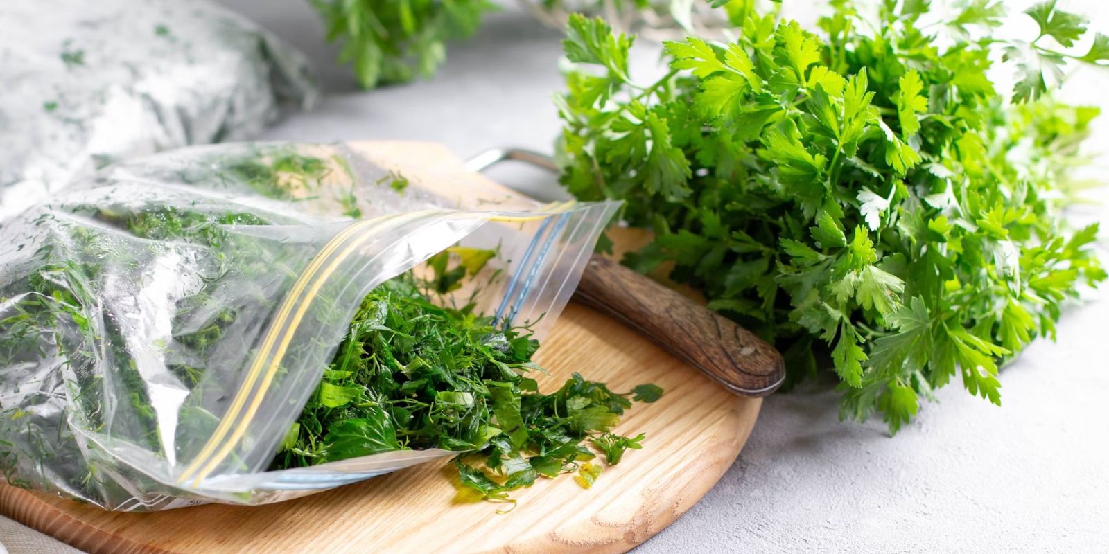 Petersilie konservieren und ein Jahr lang frisch halten: Die Methode der Köche