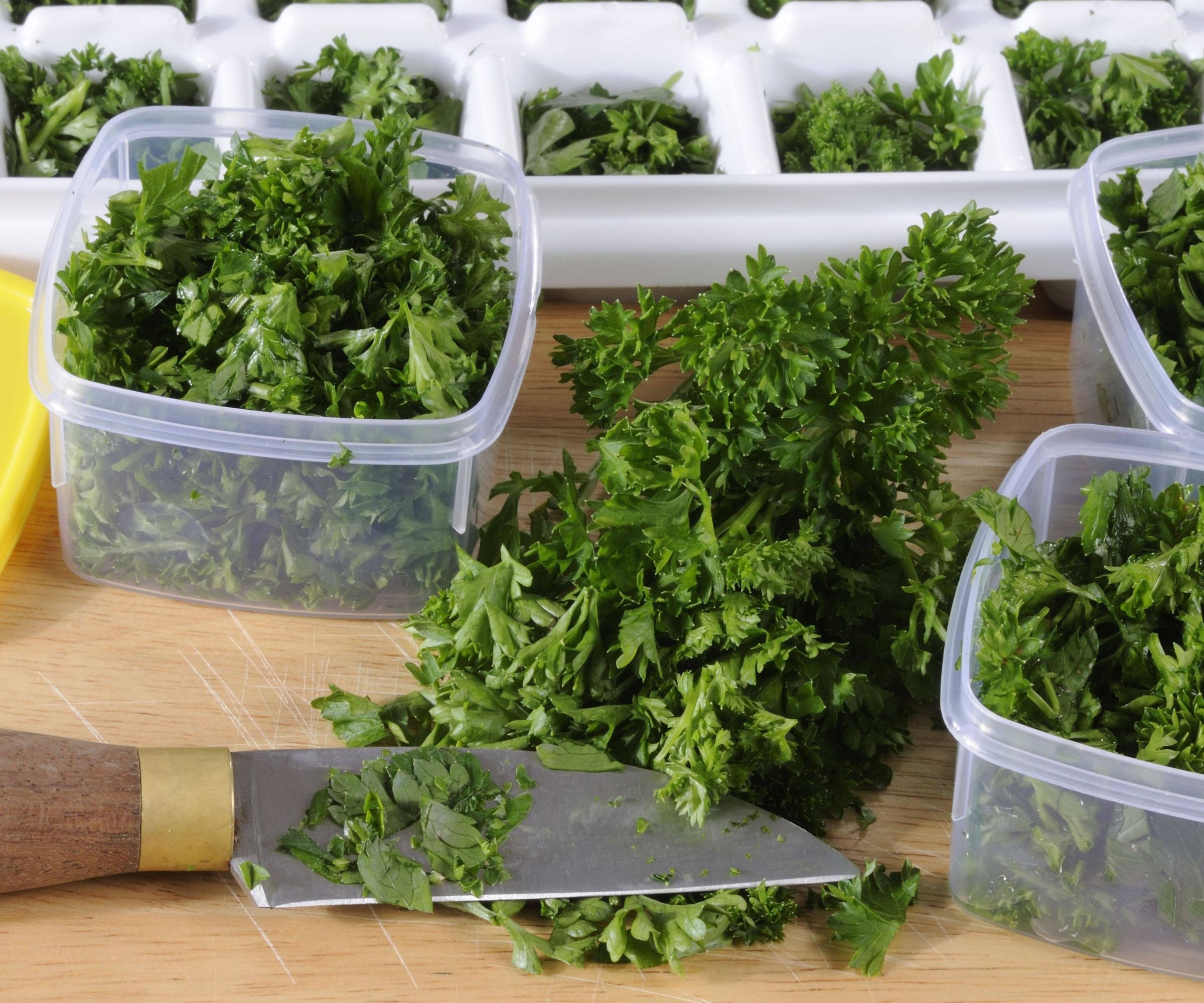 Petersilie konservieren und ein Jahr lang frisch halten: die Methode der Köche