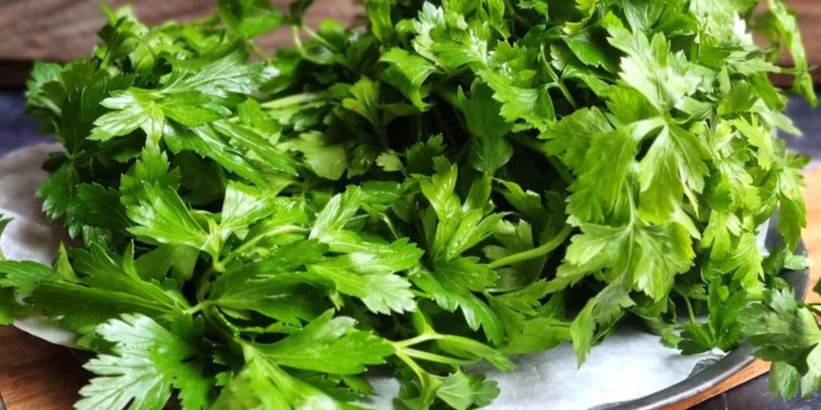 Petersilie konservieren und ein Jahr lang frisch halten