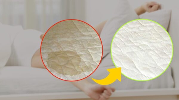 Pinkelflecken auf der Matratze, diese Zutat, die Sie in der Küche verwenden, entfernt alles