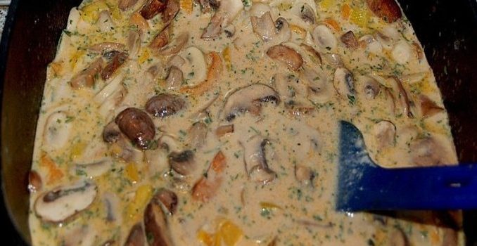 Puten Sahne Gulasch auf Bandnudeln