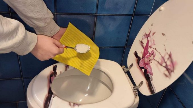 Saubere und glänzende Toilette, das ist der Trick, den sogar 5-Sterne-Hotels anwenden