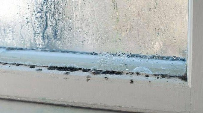 Schluss mit beschlagenen Scheiben, Schimmel und Kondenswasser: Der einfache Trick dagegen