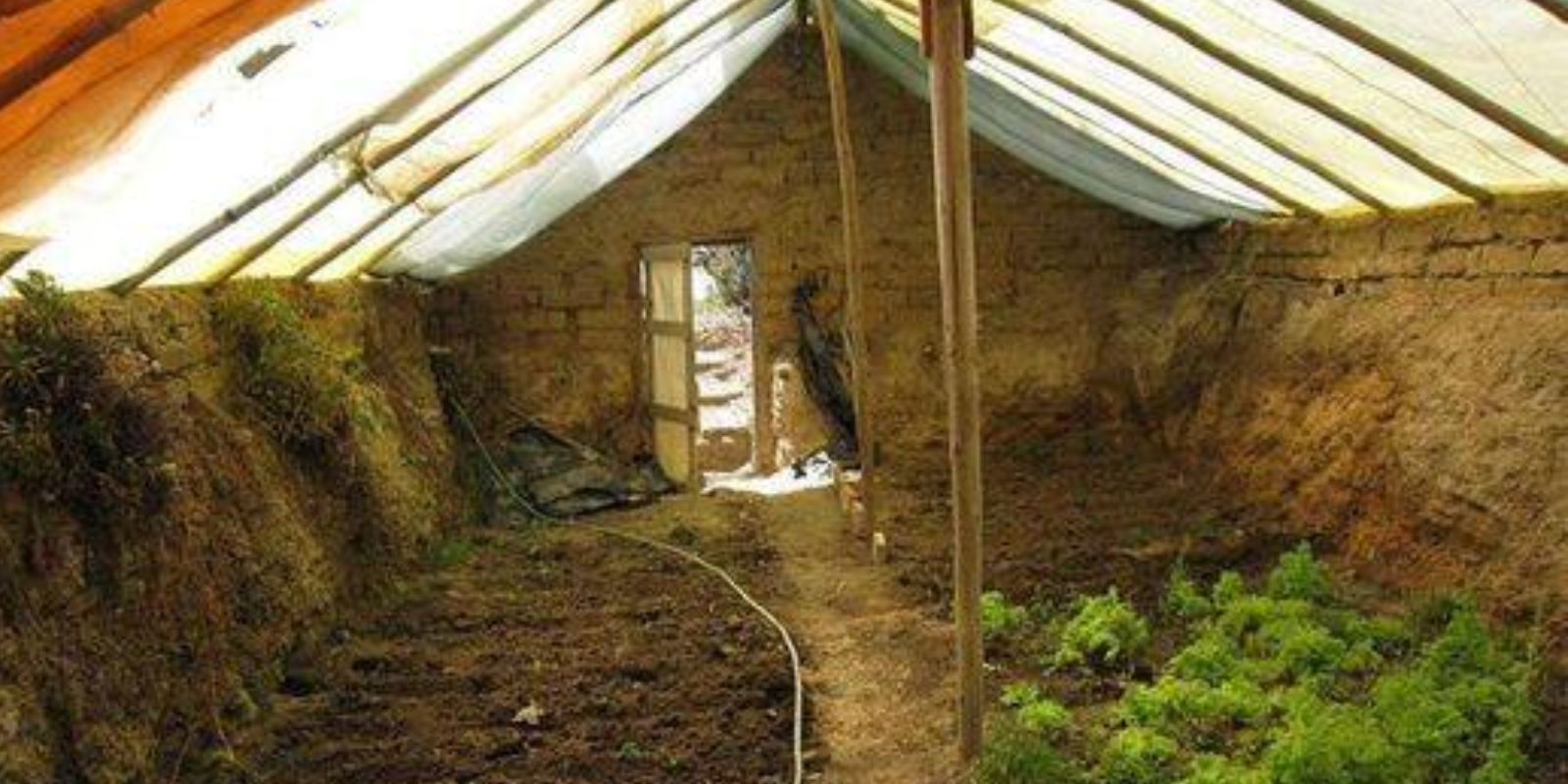 So bauen Sie ein unterirdisches Gewächshaus: Nachhaltige Gartenarbeit im Einklang mit der Natur