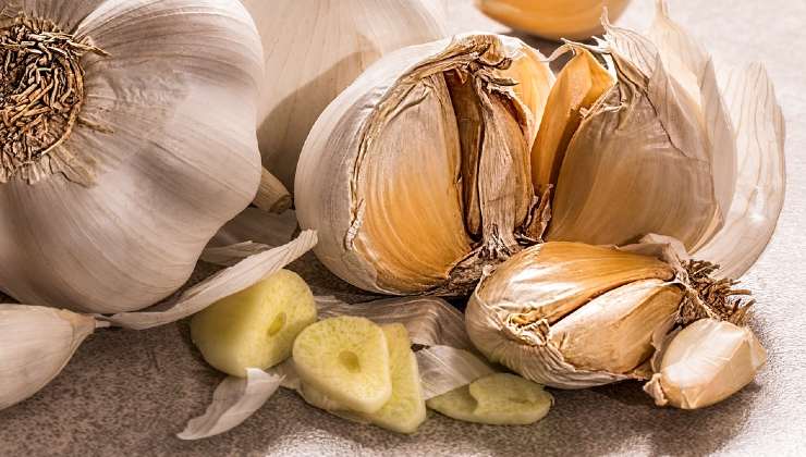 Knoblauch gegen Blattläuse