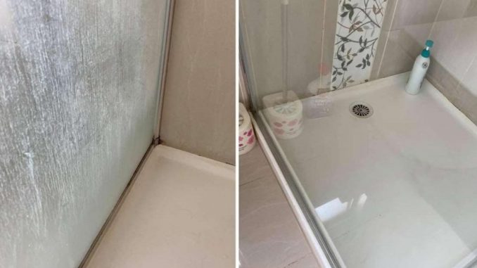 So entfernen Sie mit nur 2 Zutaten Schimmel und Kalk aus der Dusche