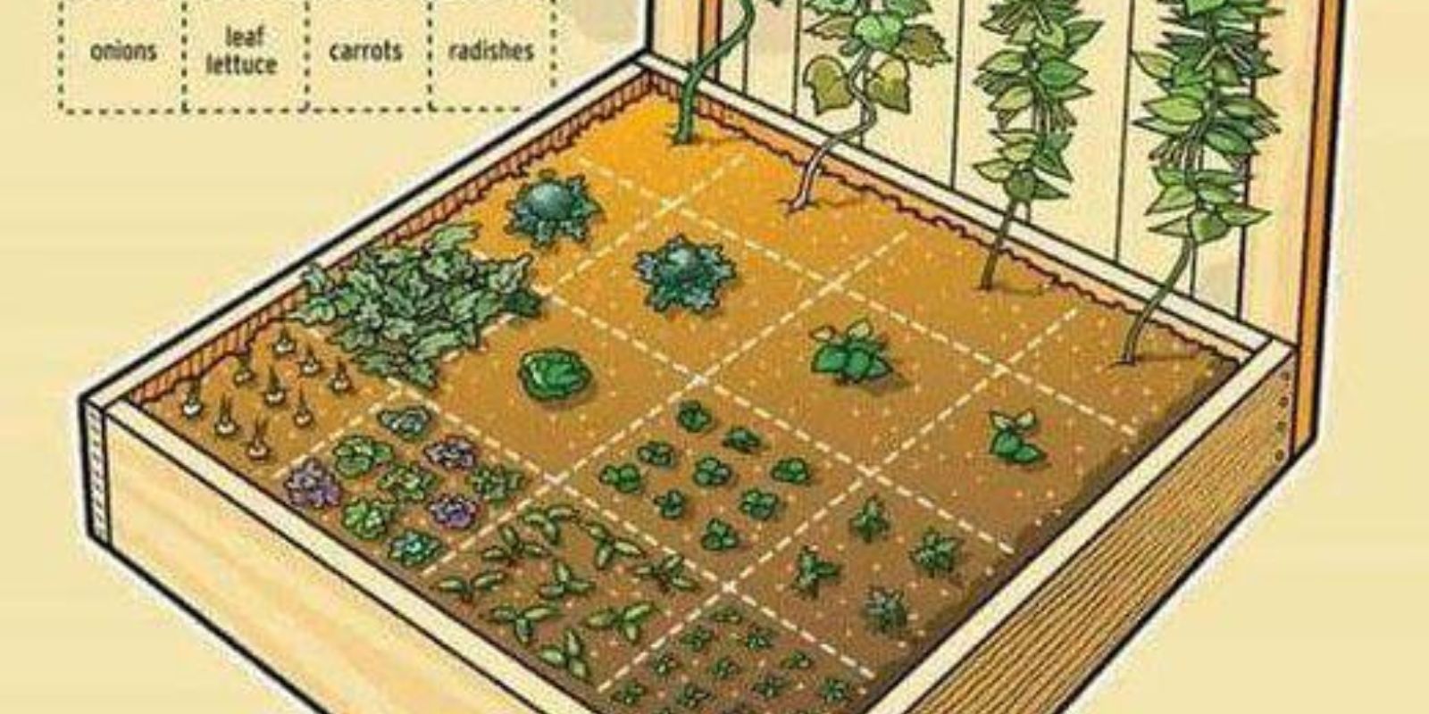 So pflanzen Sie in einem Hochbeet