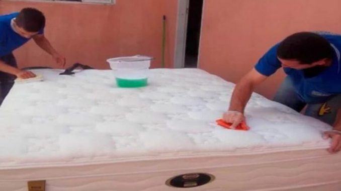 So reinigen Sie eine Matratze gründlich: Entfernt Flecken, Hausstaubmilben und schlechte Gerüche