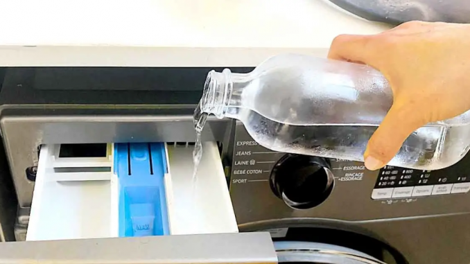 So reinigen Sie ganz einfach die ganze Waschmaschine für 3 Cent