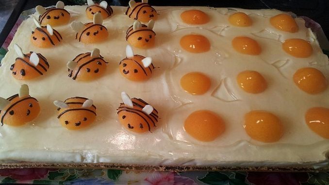 Spiegeleikuchen vom Blech