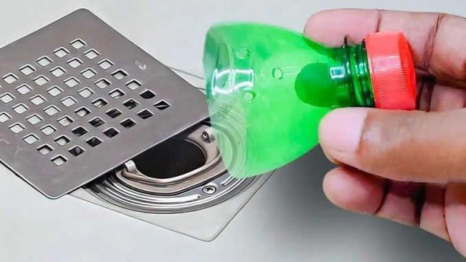 Stellen Sie eine Flasche in den Abfluss: Es ist die effektive Lösung für ein häufiges Problem
