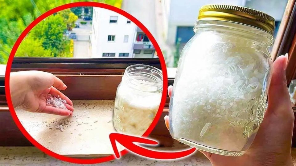 Streuen Sie Salz auf Fensterbänke: die geniale Lösung für ein Problem, das wir alle haben