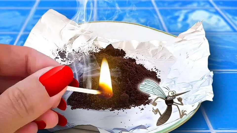 Verabschieden Sie sich dank eines cleveren Tricks von Kakerlaken und Fliegen im Haus