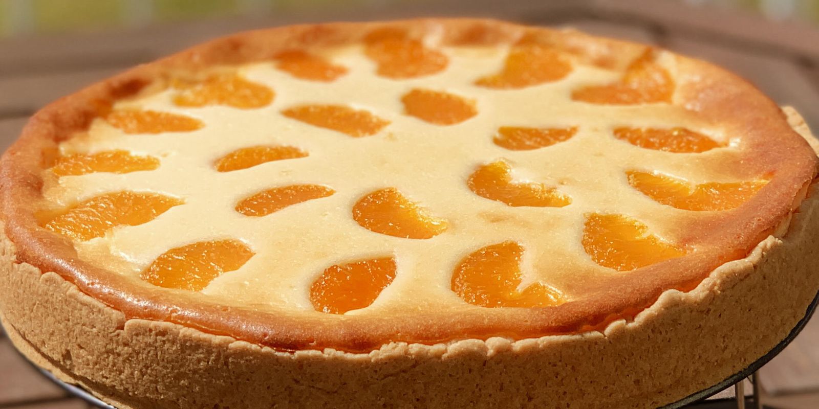 Verlockender Genuss – Käse-Mandarinen-Blechkuchen für besondere Momente