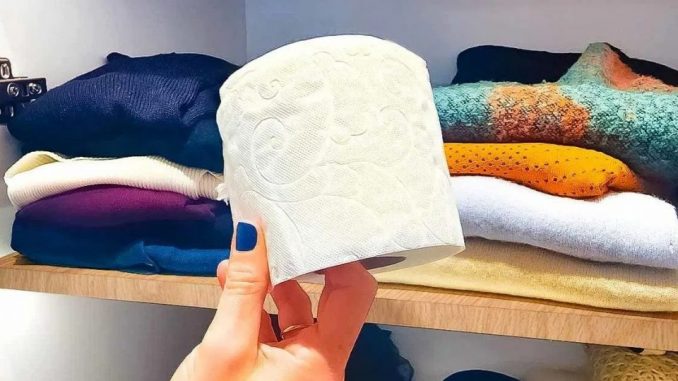 Warum immer Toilettenpapier im Schrank aufbewahren? Die effektive Lösung für ein häufiges Problem