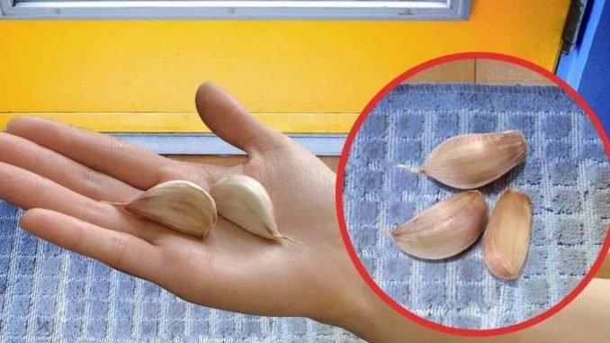 Warum ist es klug, eine Knoblauchzehe vor das Haus zu stellen? Es beseitigt ein großes Problem