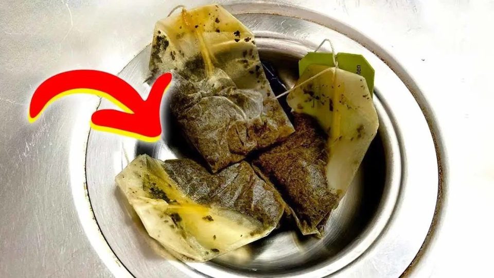 Warum ist es ratsam, vor dem Schlafengehen einen Teebeutel ins Waschbecken zu legen? Der geniale Trick listiger Hausfrauen