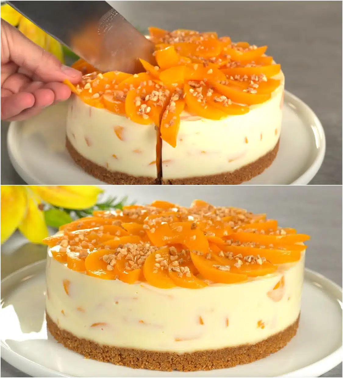 Weltbester Pfirsichkuchen! Jeder sucht nach einem Rezept für dieses Dessert! kein Backen!