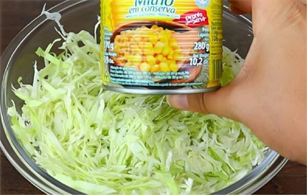 A melhor receita de repolho que você já viu é fácil fica uma delícia e sua família vai adorar