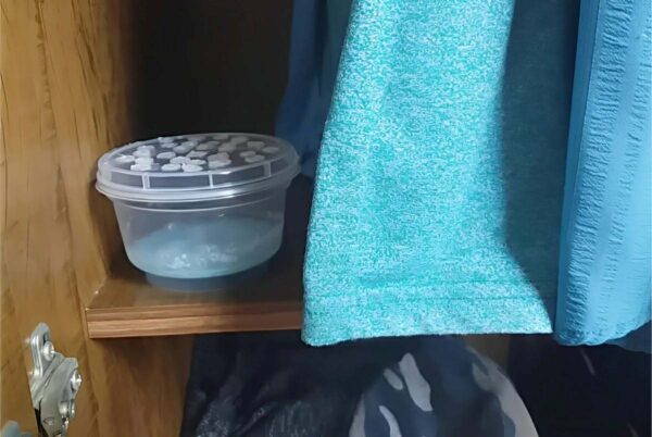 Antimofo caseiro com 2 ingredientes para colocar nos armários gavetas e cômodas