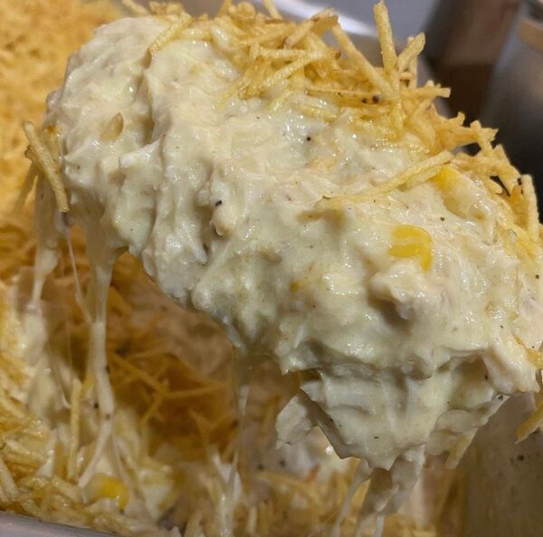 Aprenda a fazer um Fricassé de Frango Simples e Rápido para variar o cardápio da sua família!