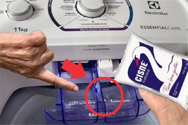 Aprendi a lavar roupas com sal e agora minhas roupas saem da máquina como novas