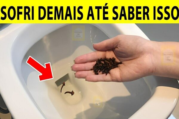 Aprendi com uma dona de hotel uma valiosa dica para deixar o banheiro cheiroso