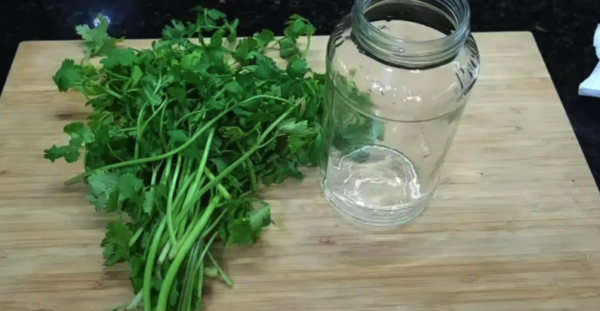 Assim se guarda a salsa e ela fica fresca por um ano: o método do chef