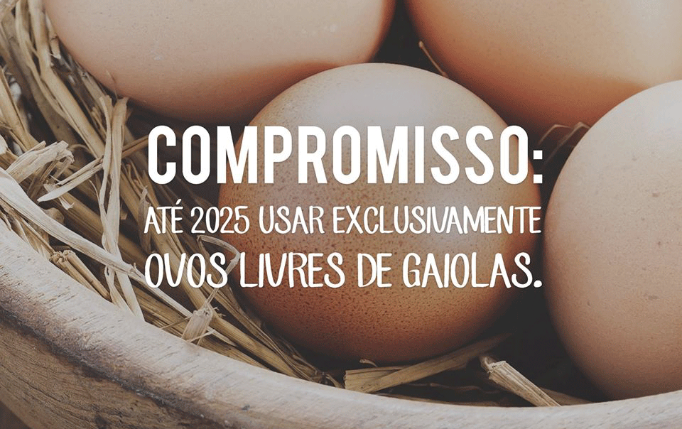 Casa de Bolos firma compromisso com a Humane Society International (HSI)