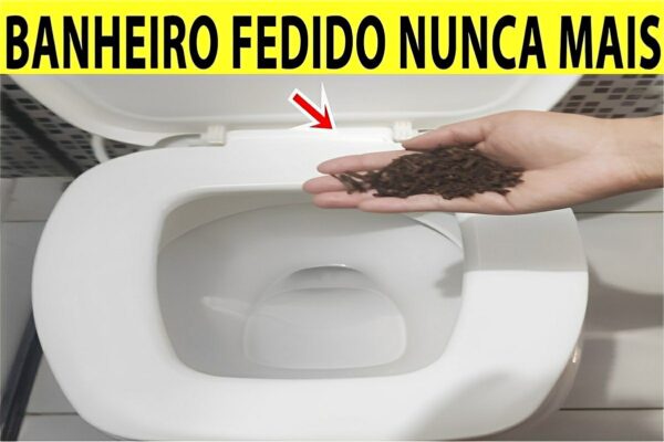 Cheiro de urina no banheiro nunca mais depois que fiz esse truque caseiro para perfumar vaso sanitário