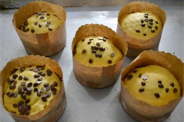 Chocotone de liquidificador receita fácil e econômica para fazer pra família ou vender