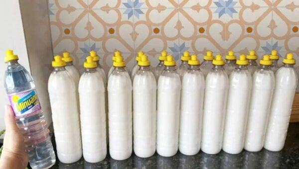 Com uma garrafa de detergente do mercado fiz 25 garrafas de detergente caseiro