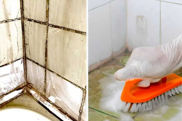 Como acabar com o bolor e mofo das paredes pisos e rejuntes