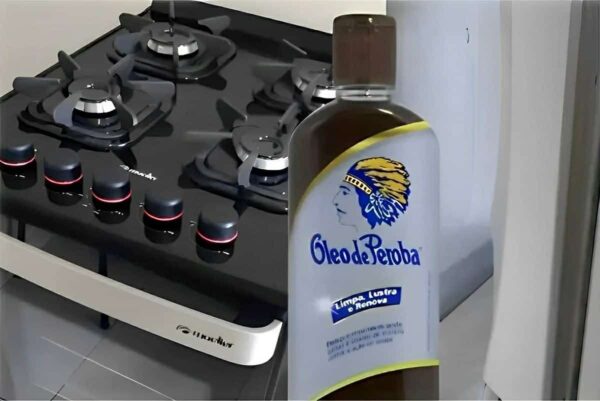 Como conservar geladeira e fogão sempre limpinho e brilhando com apenas 1 ingrediente