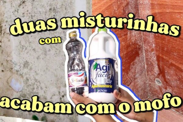 Como tirar mofo de guarda-roupa e acabar com aquele mau cheiro do seu quarto