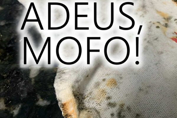 Como tirar mofo de tecidos num passe de mágica usando apenas 2 ingredientes que você tem em casa