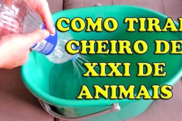 Como tirar o cheiro de urina de animais das paredes e do chão da sua casa