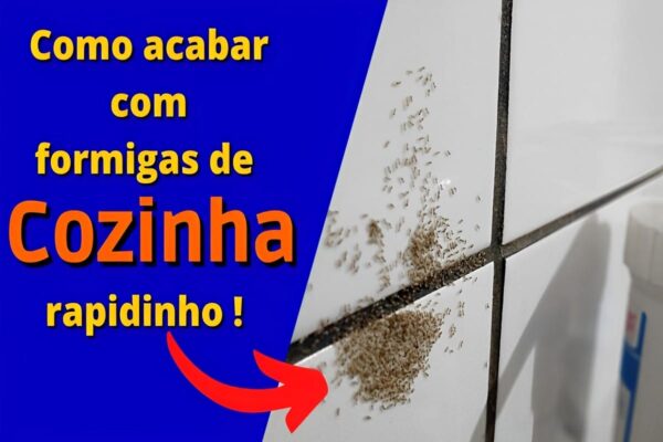 Dica para espantar formigas da cozinha com uma misturinha caseira de vinagre com detergente