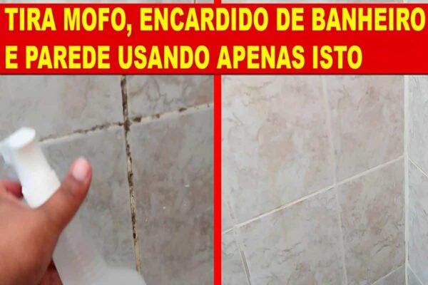 Dica para remover mofo da parede do banheiro sem estragar o azulejo