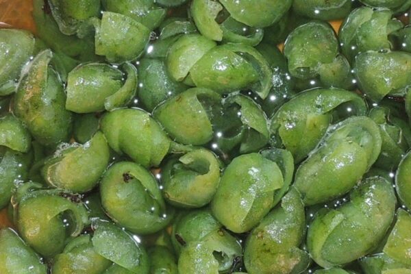 Doce assim é a primeira vez que você vai comer doce de limão delicioso e surpreendente