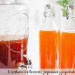 Te Kombucha con thermomix, preparacion y propiedades