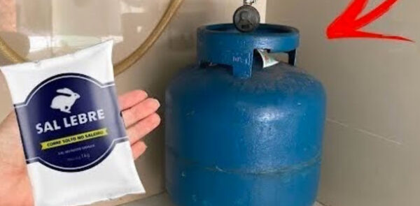 Essa eu não sabia, o homem do gás passou aqui e me ensinou. Eu adorei